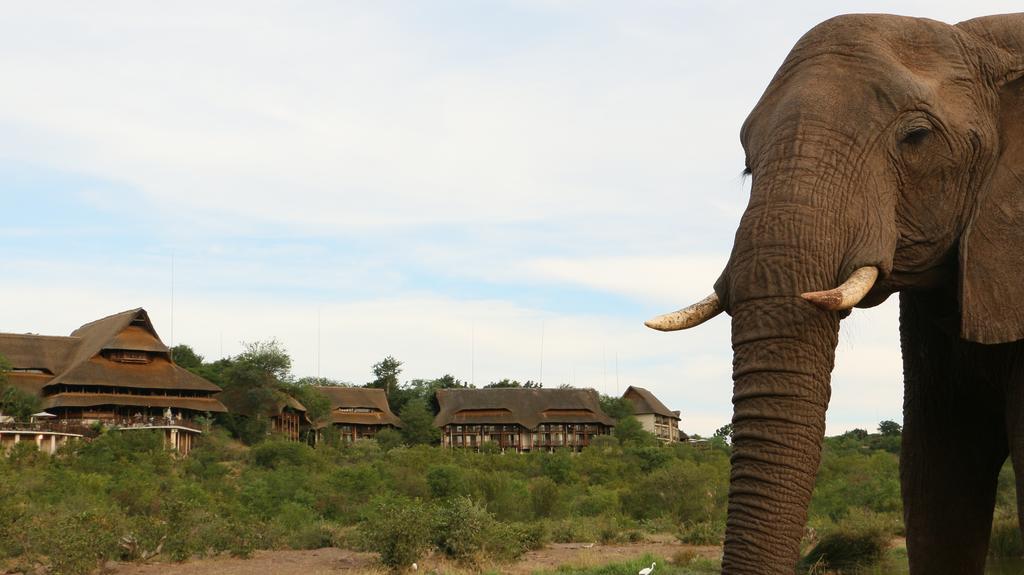 Victoria Falls Safari Suites Esterno foto