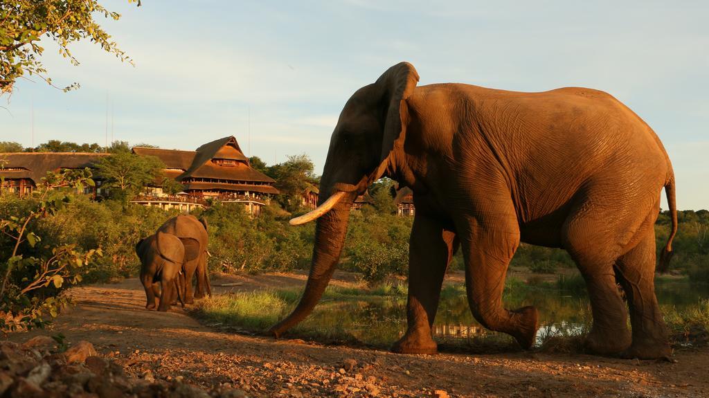 Victoria Falls Safari Suites Esterno foto